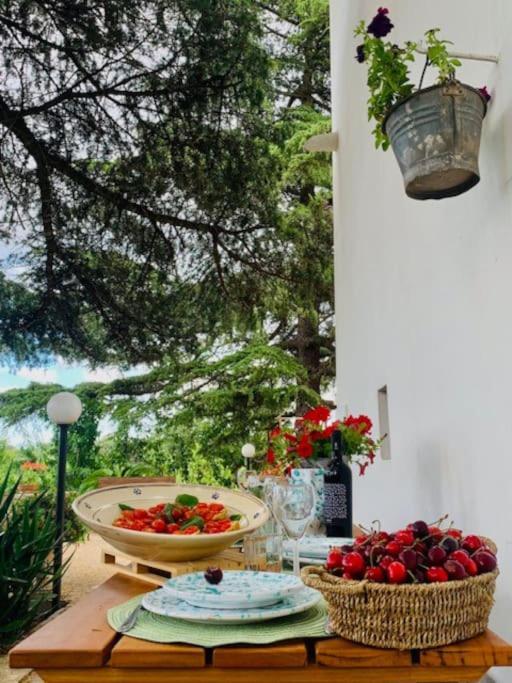 Casina Foggia Dell'Albero Apartment Putignano Exterior photo